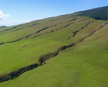 Scenic view of green landscape against sky