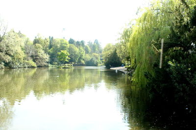 Scenic view of lake by trees against sky