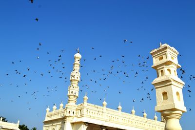 Low angle view of birds flying against clear sky