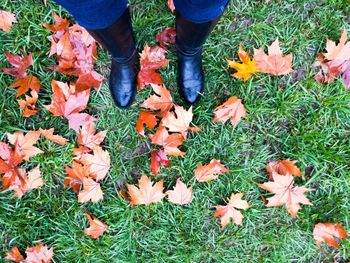 Low section of person with autumn leaves on field