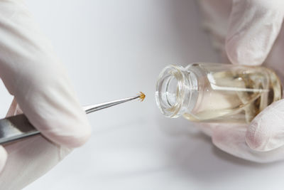 Close-up of scientist putting insect in container on table