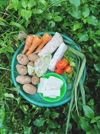 High angle view of fruits and vegetables on plant