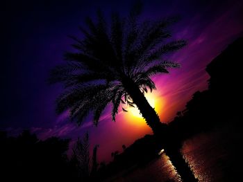 Low angle view of silhouette tree against sky at night