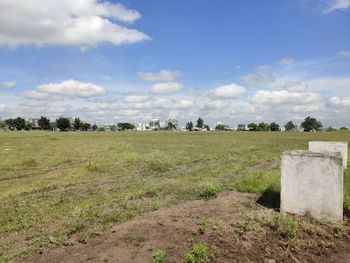 Scenic view of field against sky