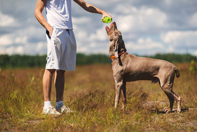 Low section of man feeding water to dog in field