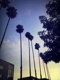 Low angle view of palm trees against blue sky