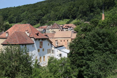 Houses amidst trees and buildings