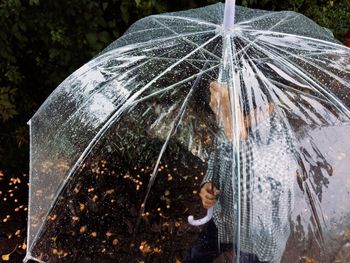 Close-up of damaged leaf