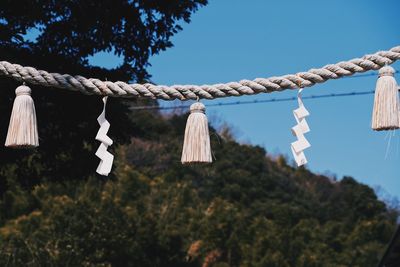 Close-up of rope tied on tree against sky