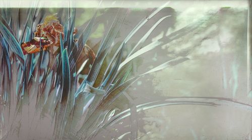 Close-up of jellyfish swimming in aquarium