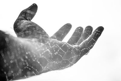 Double exposure image of cropped hand and wet spider web