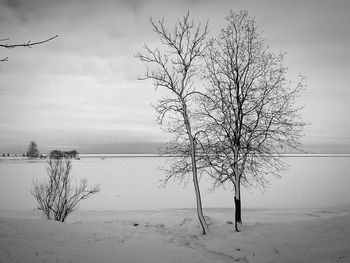 Bare tree on snow covered landscape against sky