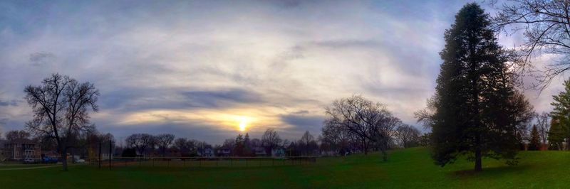 Bare trees on field against cloudy sky