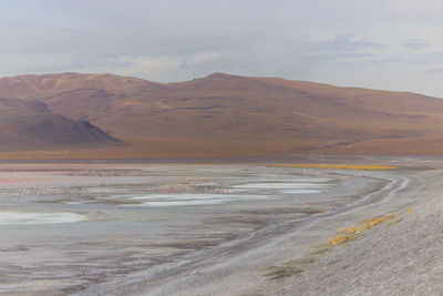 Scenic view of desert against sky