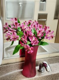 Close-up of pink flowers in vase at home