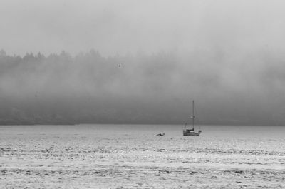 Lone boat in calm sea in foggy weather