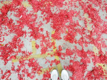 Low section of person standing on pink shavings