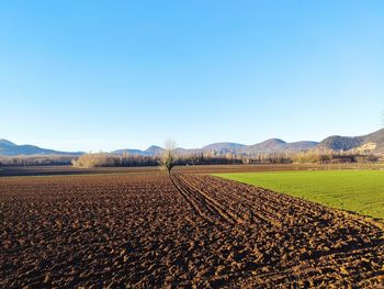 Scenic view of field against clear blue sky