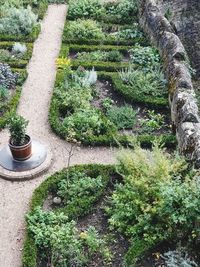 High angle view of potted plants in garden