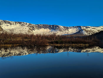 reflection