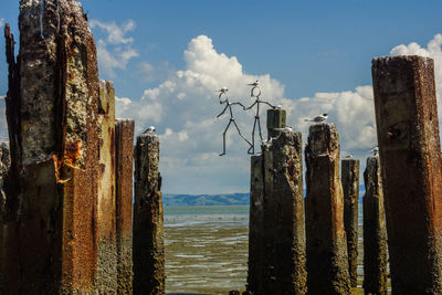 Panoramic view of old wooden posts on sea against sky