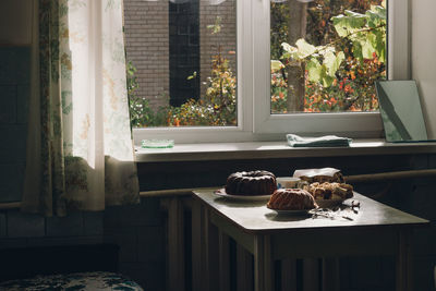 Cat by window on table