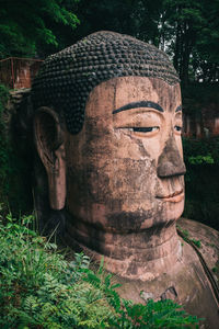Close-up of leshan giant buddha