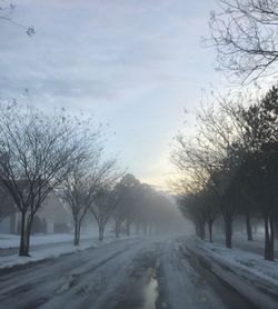 Road amidst trees against sky