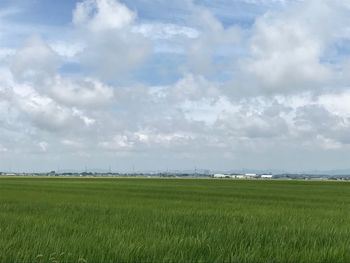 Scenic view of field against sky