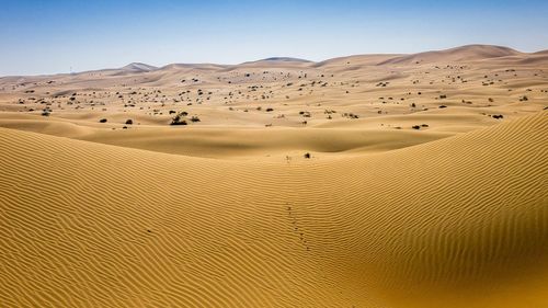 Scenic view of desert against clear sky