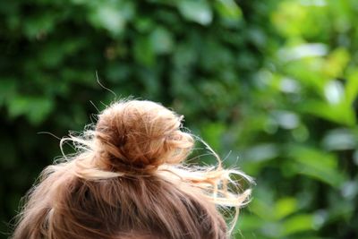 Close-up of messy bun against plants