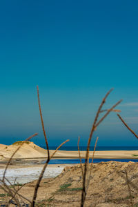 Scenic view of beach against clear blue sky