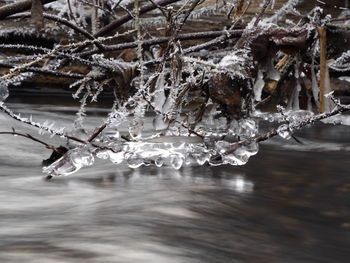 Close-up of frozen water