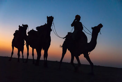 Silhouette man riding horse