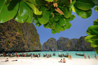 Scenic view of tourist on beach against clear sky