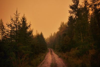 Dirt road amidst trees in forest against clear sky