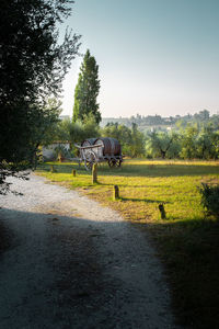View of an animal on landscape
