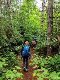 Rear view of children with backpacks walking in forest