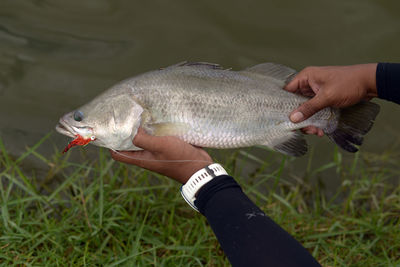 Midsection of man holding fish