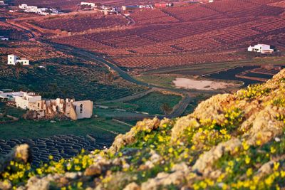 Scenic view of rural landscape