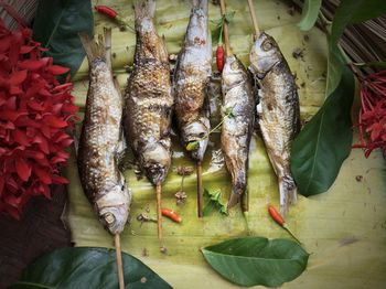 High angle view of fish for sale in market