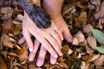 Cropped image of couple with dog on leaves at park