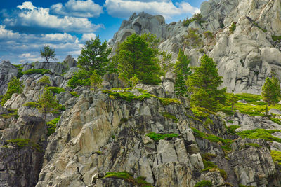 Low angle view of rocks and trees against sky