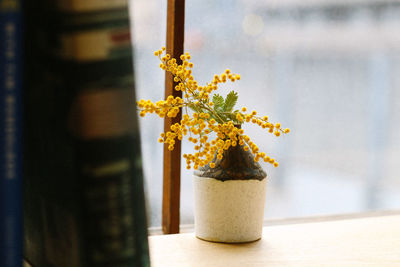 Close-up of plant with yellow flowers on table