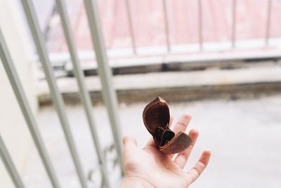 Close-up of hand holding leaf against blurred background