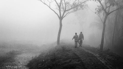 Rear view of men walking on road in forest