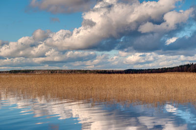 Scenic view of field against sky