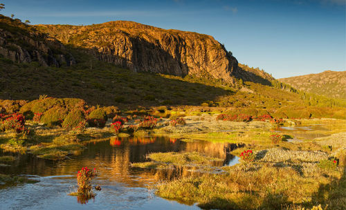 Late afternoon light and reflected rock face in mountain tarn in tasmania