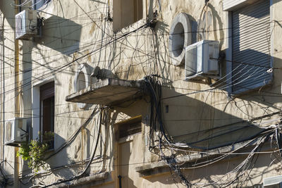 Low angle view of birds perching on building