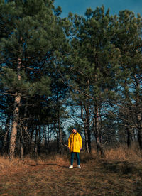 Red bearded traveler man in yellow coat walking forest authentic tourist lifestyle.confident hipster